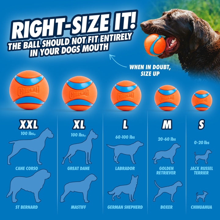 Dog Ball Launcher - Junior 18 with Medium (2.5), Dog Fetch Ball Thrower, For Dogs 20-60 Pounds, Made in USA