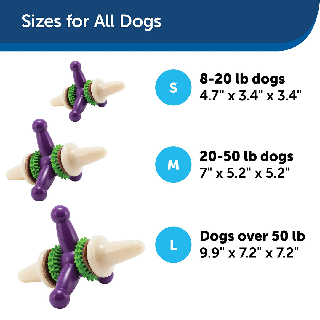 Busy Buddy Jack - Treat Holding Dog Chew Toys - Helps Clean Teeth - Vanilla Scented Rubber for Strong Chewers - Treat Refills Included, Interactive Dog Toy Helps Keep Dogs Busy, Purple, Medium