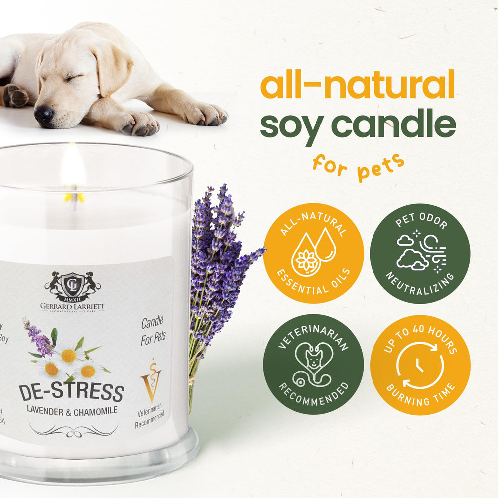 Gerrard Larriett: De-Stress Lavender & Chamomile Scented Candles for Home Decor and Pet Odor - Aromatherapy Stress Relief Soy Wax Candles - Pet Odor Eliminator for Home - Pet Friendly Candles