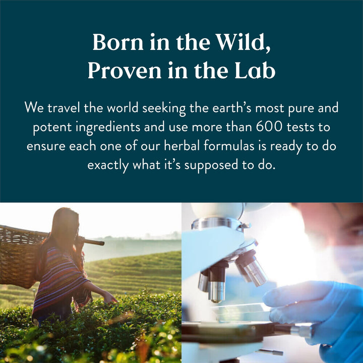 Natures's Sunshine Stress Relief, Chinese TCM Concentrate, 30 Capsules | Nourishes the Nervous System, May Optimize Gastric Function, and Supports Circulatory Health