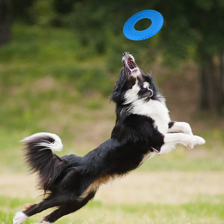 Tire Flyer Outdoor Dog Toy, 10 Inch Flying Disc Dog Fetch Toy, Rubber Dog Toy for Medium Dogs and Large Dogs, Blue