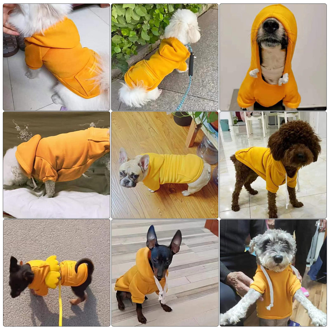 PETCARE Small Dog Hoodie Cat Sweater Yellow Warm Soft Fleece Sweatshirts with Pocket Fall Winter Puppy Sweaters Cat Clothes for Cats Only Chihuahua Yorkies French Bulldog Outfits Pet Hooded Costume