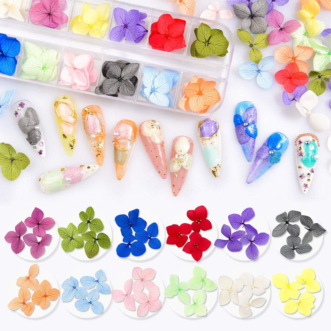 Dried Flowers for Nails 120pcs/set 3D Real Encapsulated Nail Pressed Flowers for Nail Art & Resin Craft DIY - Gypsophila, Five Petals Flowers, Leaves, Hydrangea Macrophylla (Pattern A)