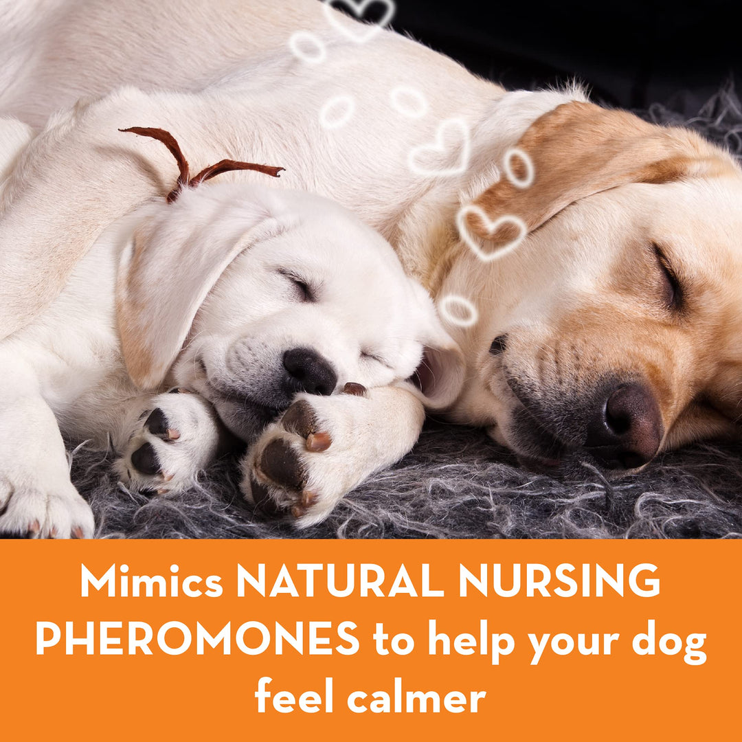 Dog Calming Pheromone Diffuser Kit | Powered by ADAPTIL | Vet Recommended to Relieve Separation Anxiety, Stress Barking & Chewing, and Fear of Fireworks & Thunderstorms (30 Day Supply)