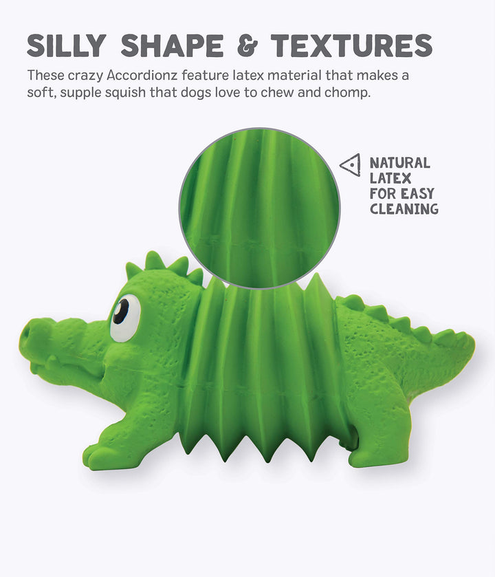 Accordionz Latex Rubber Squeaking Toy - Squeaky and Grunting Dog Toy, Alligator