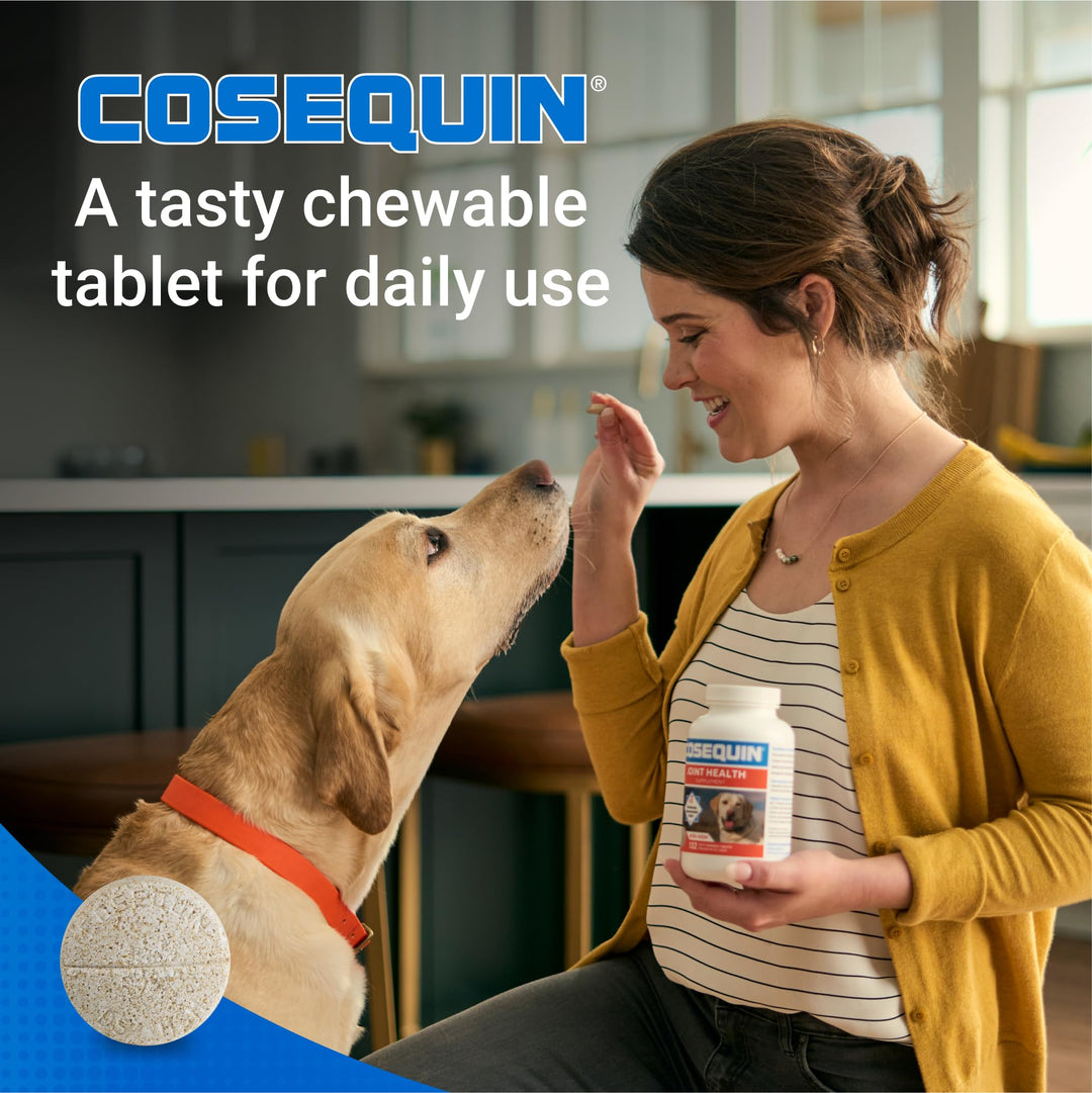 Cosequin Maximum Strength Joint Health Supplement for Dogs - With Glucosamine, Chondroitin, and MSM, 60 Chewable Tablets