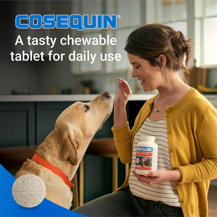 Cosequin Maximum Strength Joint Health Supplement for Dogs - With Glucosamine, Chondroitin, and MSM, 60 Chewable Tablets