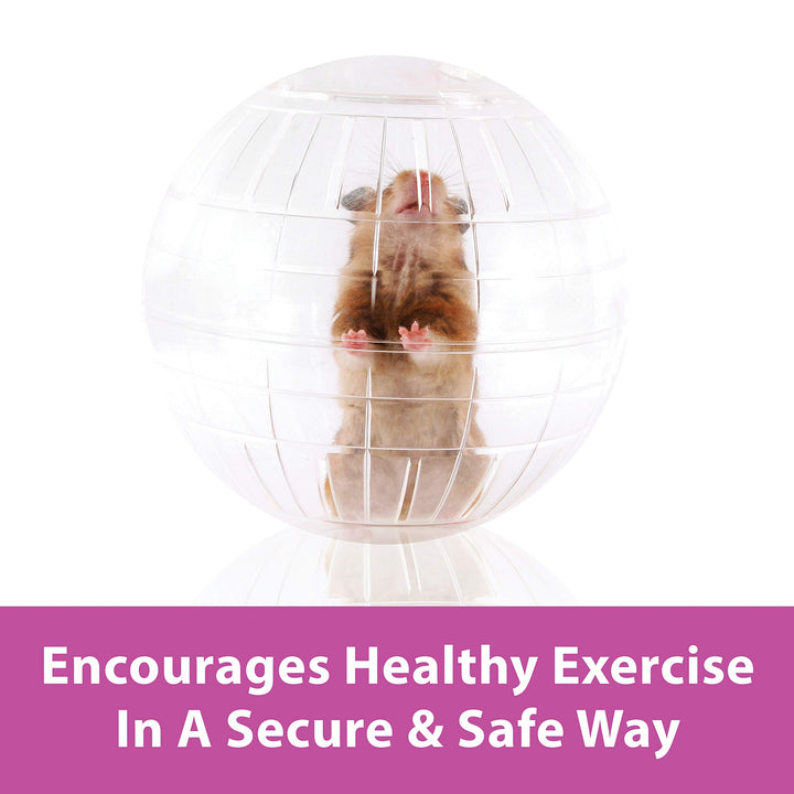 7 Clear Run-About Exercise Ball For Pet Hamsters & Gerbils