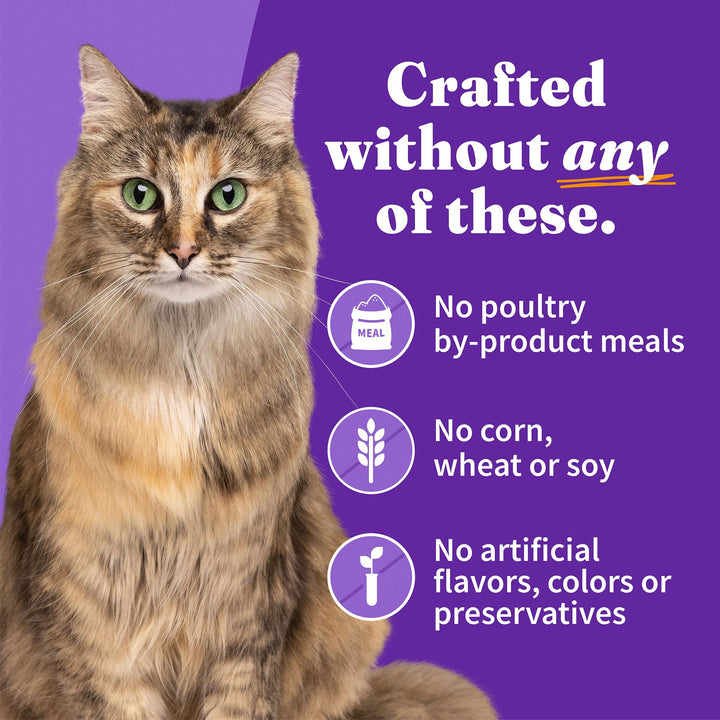 Wet Cat Food Variety Pack, Grain Free Three Canned Wet Cat Pate, Chicken Stew, Salmon Stew & Turkey Stew, 5.5 Oz Can (Pack of 12)