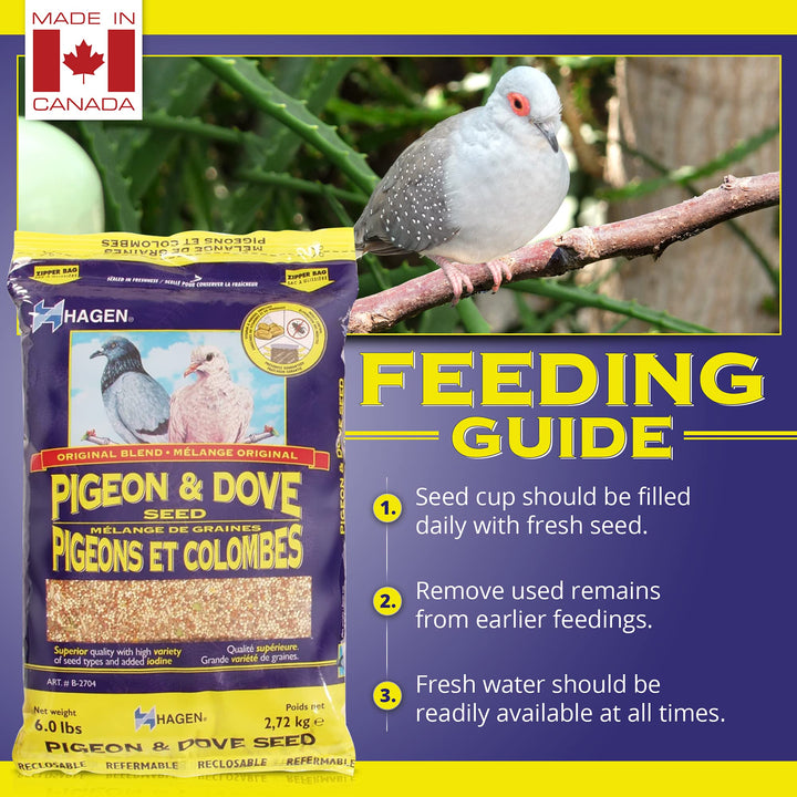 Pigeon & Dove Seed, Nutritionally Complete Bird Food, original version, 6 Pound (Pack of 1) (B2704)