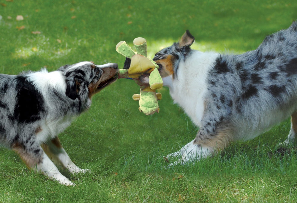 Bubble Plush Dragons Squeaky Dog Toy, Chew Guard Technology - Lime, Large
