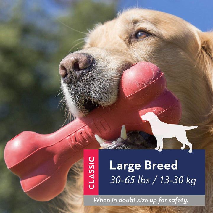 Goodie Bone - Classic Durable Natural Rubber Dog Bone, Supports Mental Engagement - Treat Dispensing - Red - for Large Dogs