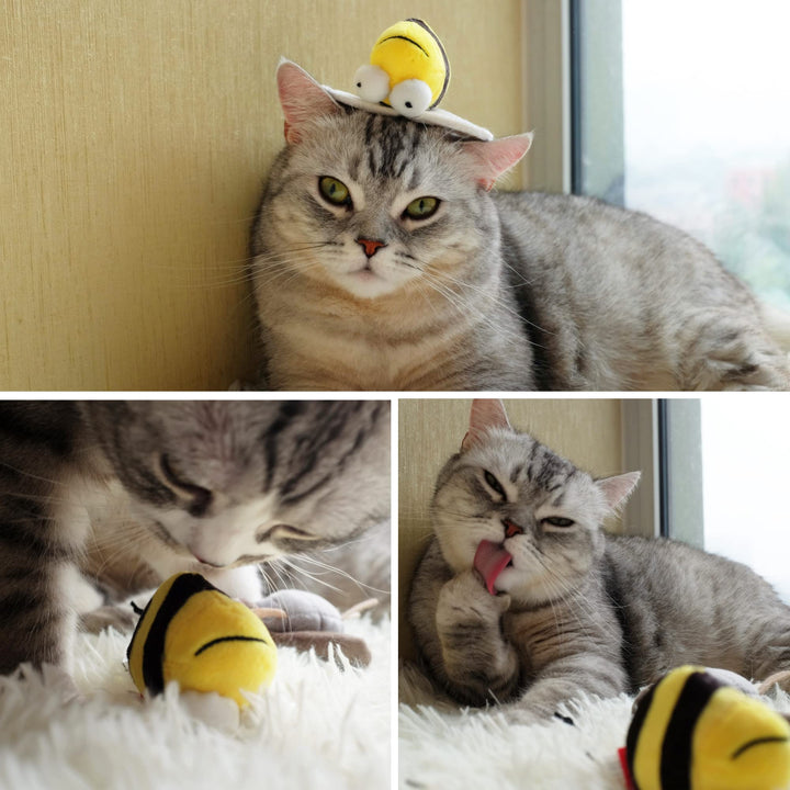 Interactive Cat Toys Animal Sound Bird/Mouse/Bee Interactive Squeaking Cat Toys Melody Chaser & Toys for Cats to Play Alone, Play and Squeak Kitten Toys for Boredom