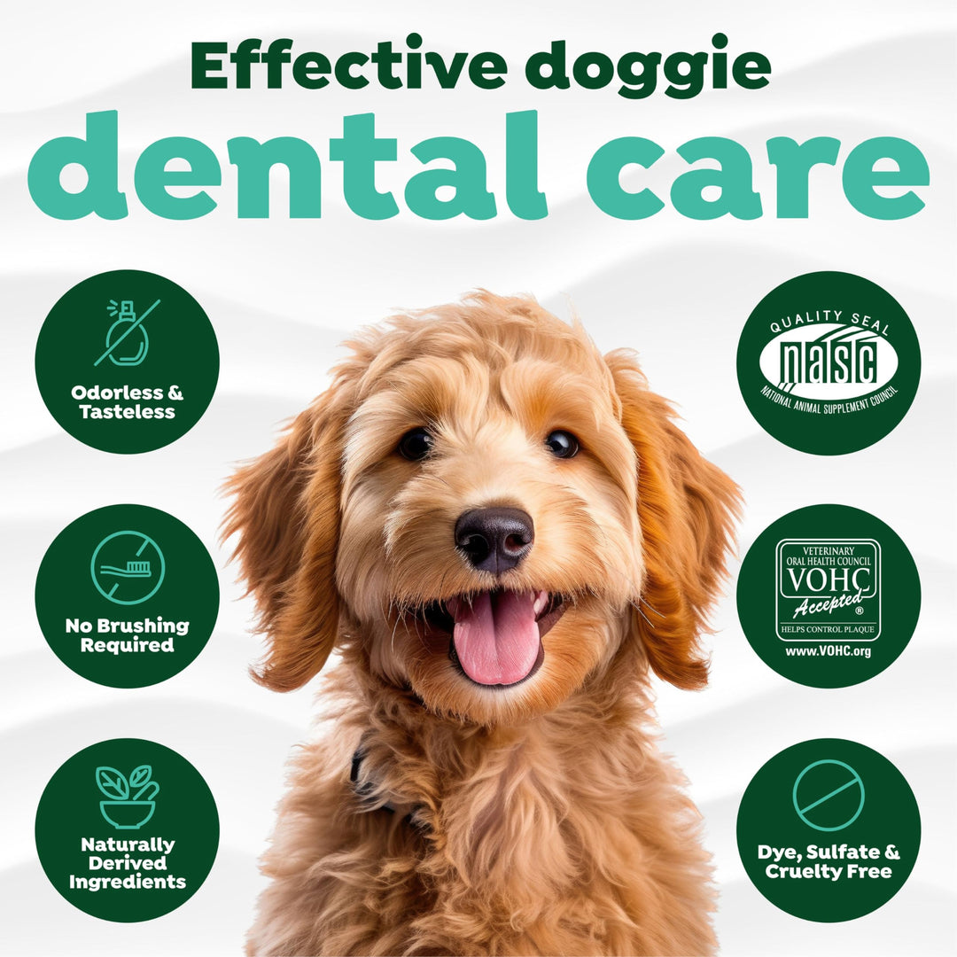 Fresh Breath Water Additive for Dogs | Dog Breath Freshener & Teeth Cleaning Solution | No Toothpaste or Toothbrush Required | 16 oz