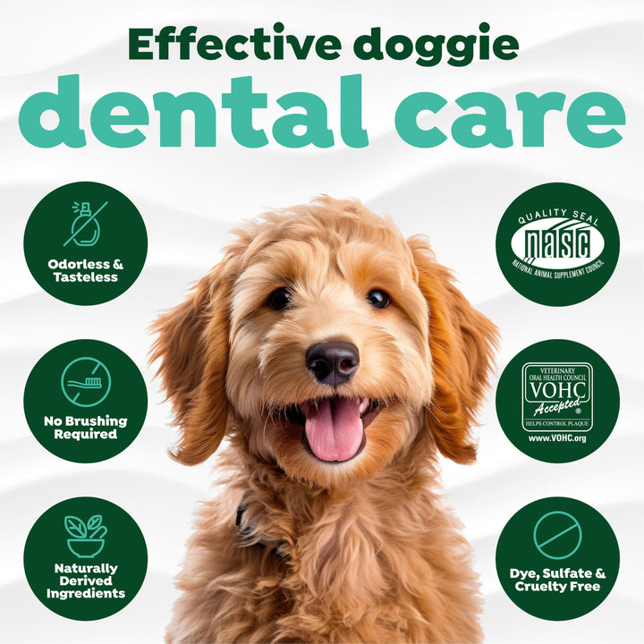 Fresh Breath Water Additive for Dogs | Dog Breath Freshener & Teeth Cleaning Solution | No Toothpaste or Toothbrush Required | 16 oz
