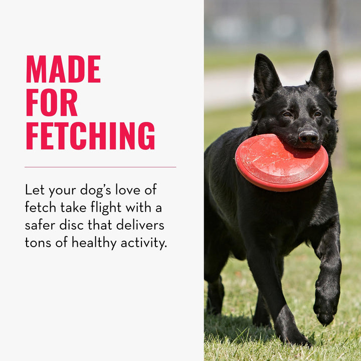 Flyer - Durable Dog Toy for Outdoor Playtime - Natural Rubber Flying Disc, Dog Toy for Fetch - Safer Disc for Healthy Activity - for Small Dogs