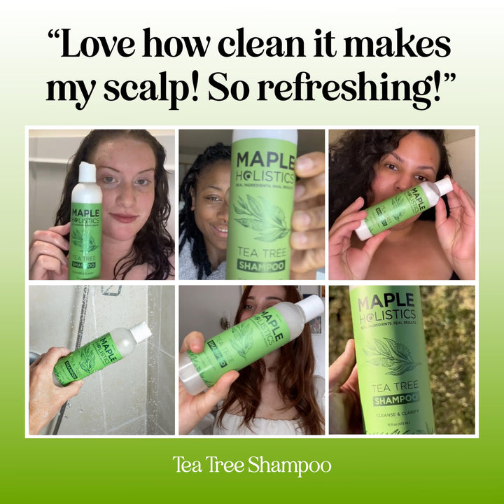 Clarifying Shampoo for Build Up & Oily Hair - Tea Tree Shampoo for Men and Women with Rosemary Essential Oil for Oily Hair and Scalp - Color Safe Vegan Sulfate Silicone & Paraben Free (16 Fl Oz)