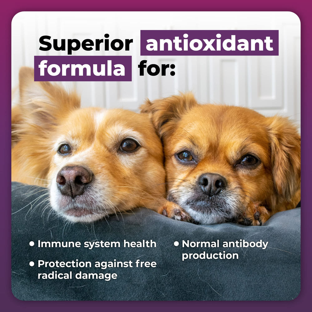 VetriScience Immunity Health Easy-Open Capsules, 23 Antioxidants for Cell Advance, Immune Plus Supplement for Medium to Large Breed Dogs, Immune and Allergy Support, 120 Count