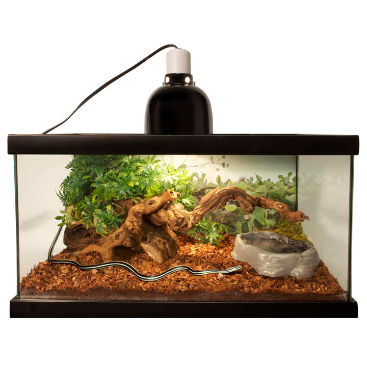 Reptile Bark Fir Bedding, 8 Quarts