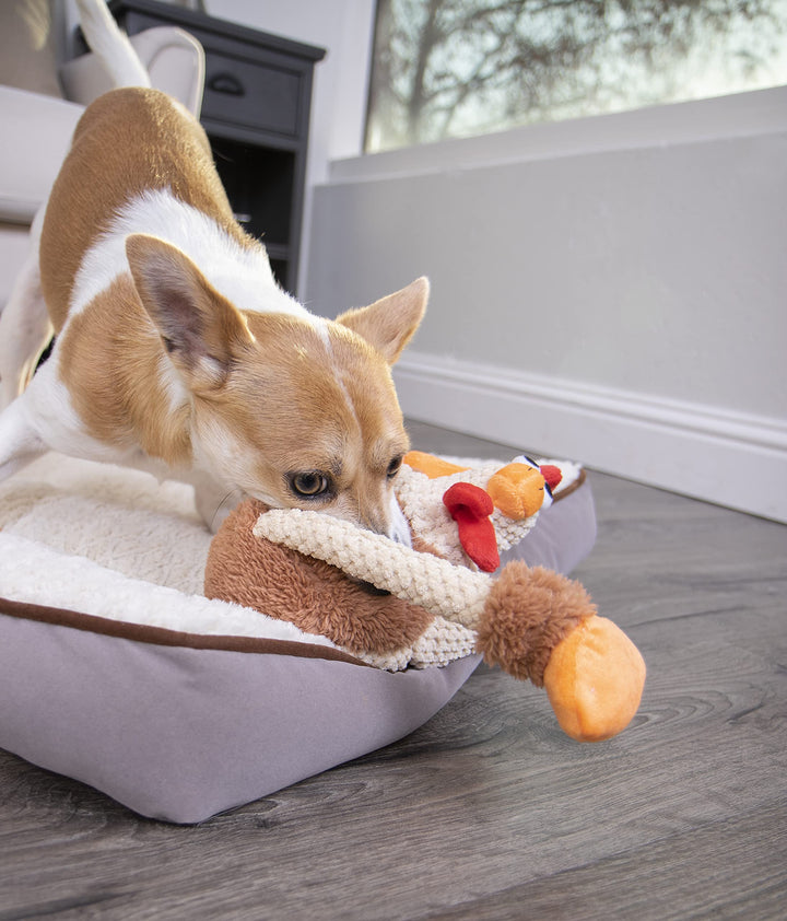 Checkers Skinny Rooster Squeaky Plush Dog Toy, Chew Guard Technology - Brown, Small