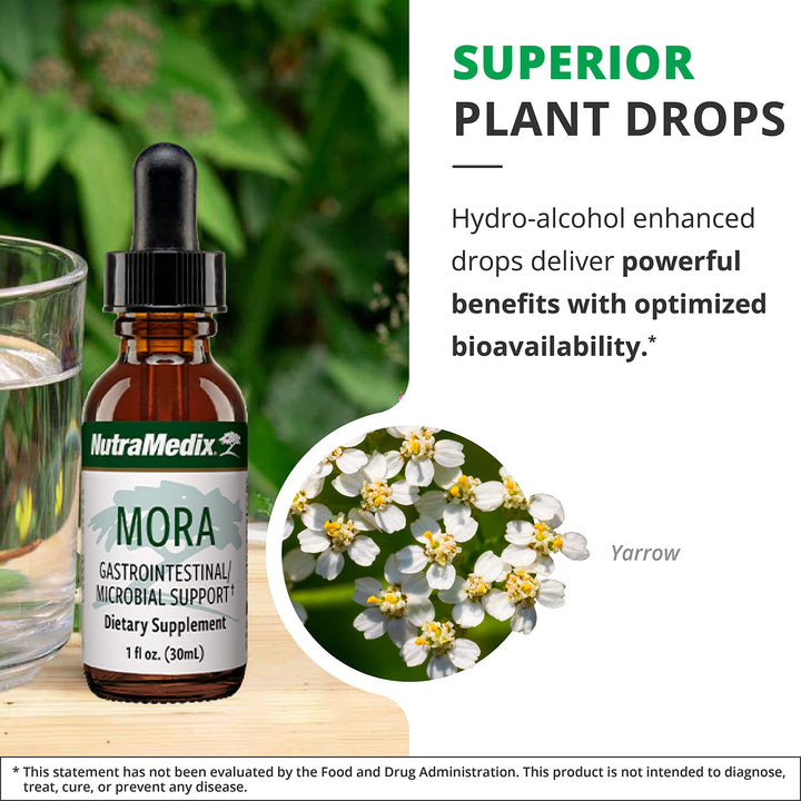 Mora Yarrow Extract - Yarrow Herb, BlackBerry Leaves and Capirona Bark Extract for Digestive Health, Gut Support & Healthy Inflammatory Response (1oz / 30ml)