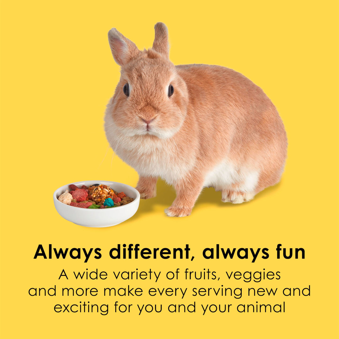Fiesta Rabbit Food, Nutritious and Fun Blend, Supports Dental Health and Digestion, 3.5 pounds