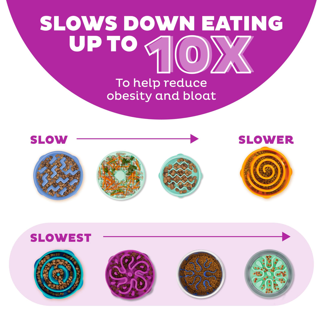 Fun Feeder Slo Bowl, Slow Feeder Dog Bowl, Medium/Mini, Purple