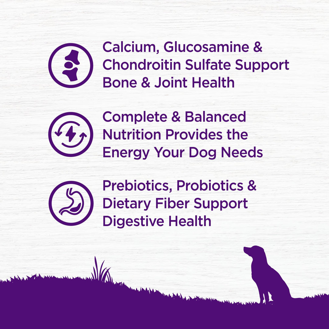 Complete Health Senior Dry Dog Food, Wholesome Grains, Natural, Age Advantage Chicken & Barley Recipe, (30-Pound Bag)