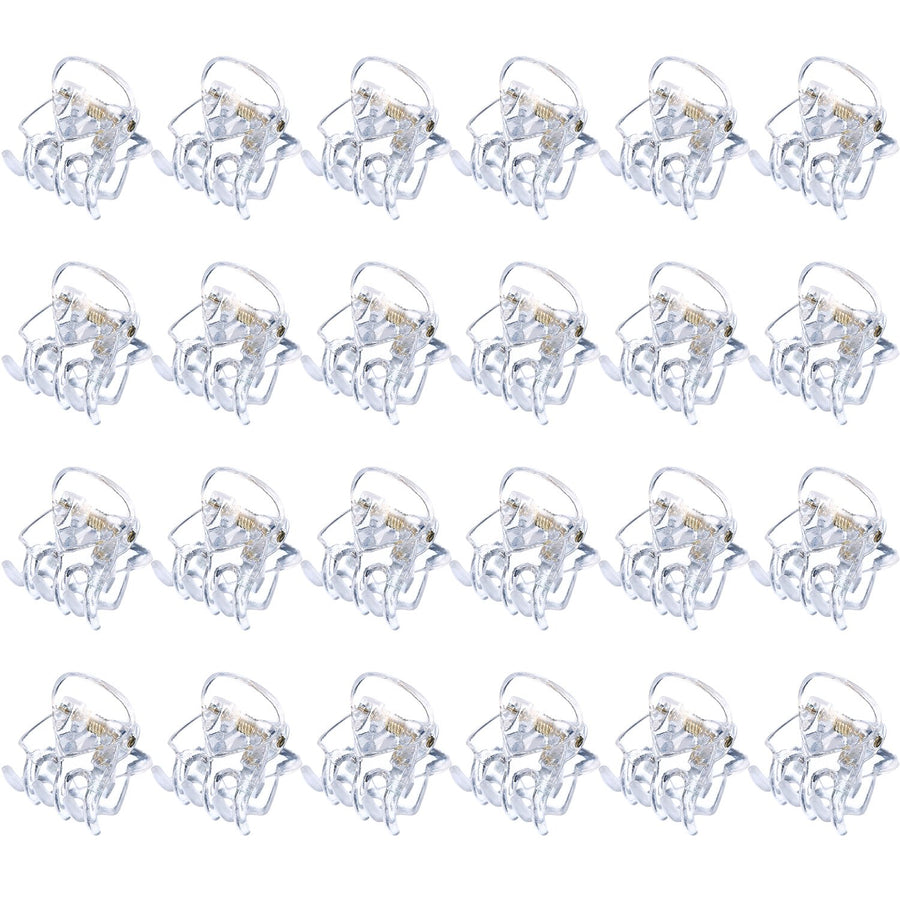 Clear: Hotop 24 Pieces Mini Hair Clips Plastic Hair Claws Pins Clamps For Girls And Women (Clear)
