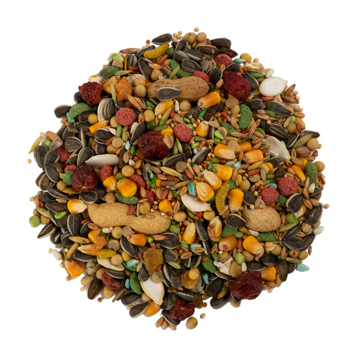 Advanced Nutrition Parrot, 4 Pounds, Seed, Grain And Vegetable Mix