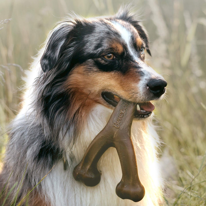 Indestructible Wishbone Dog Chew Toy for Aggressive Chewers, Long Lasting Tough Boredom Breaker for Dogs, Real Peanut Flavour, For Medium Dogs, Made in the USA.