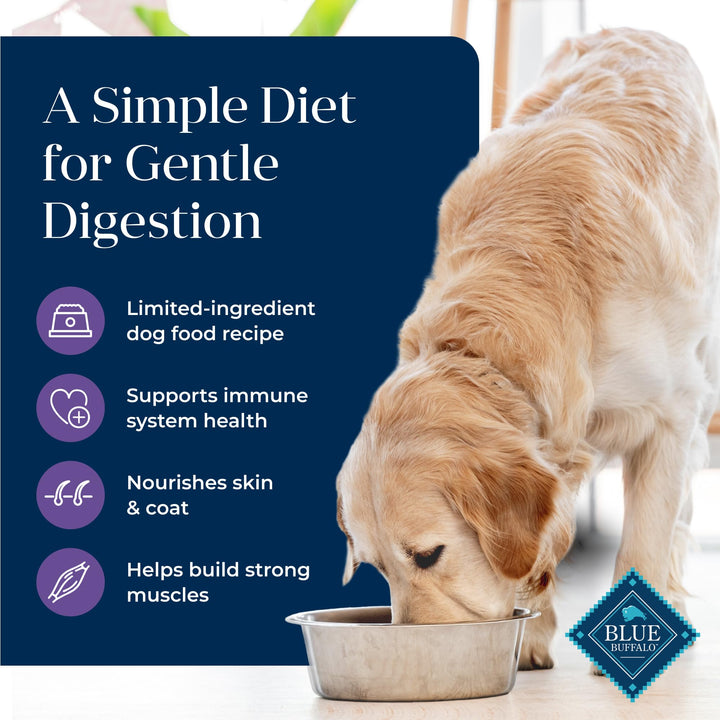 Basics Adult Grain-Free Dry Dog Food for Skin & Stomach Care, Limited Ingredient Diet, Made in the USA with Natural Ingredients, Turkey & Potato Recipe, 11-lb. Bag