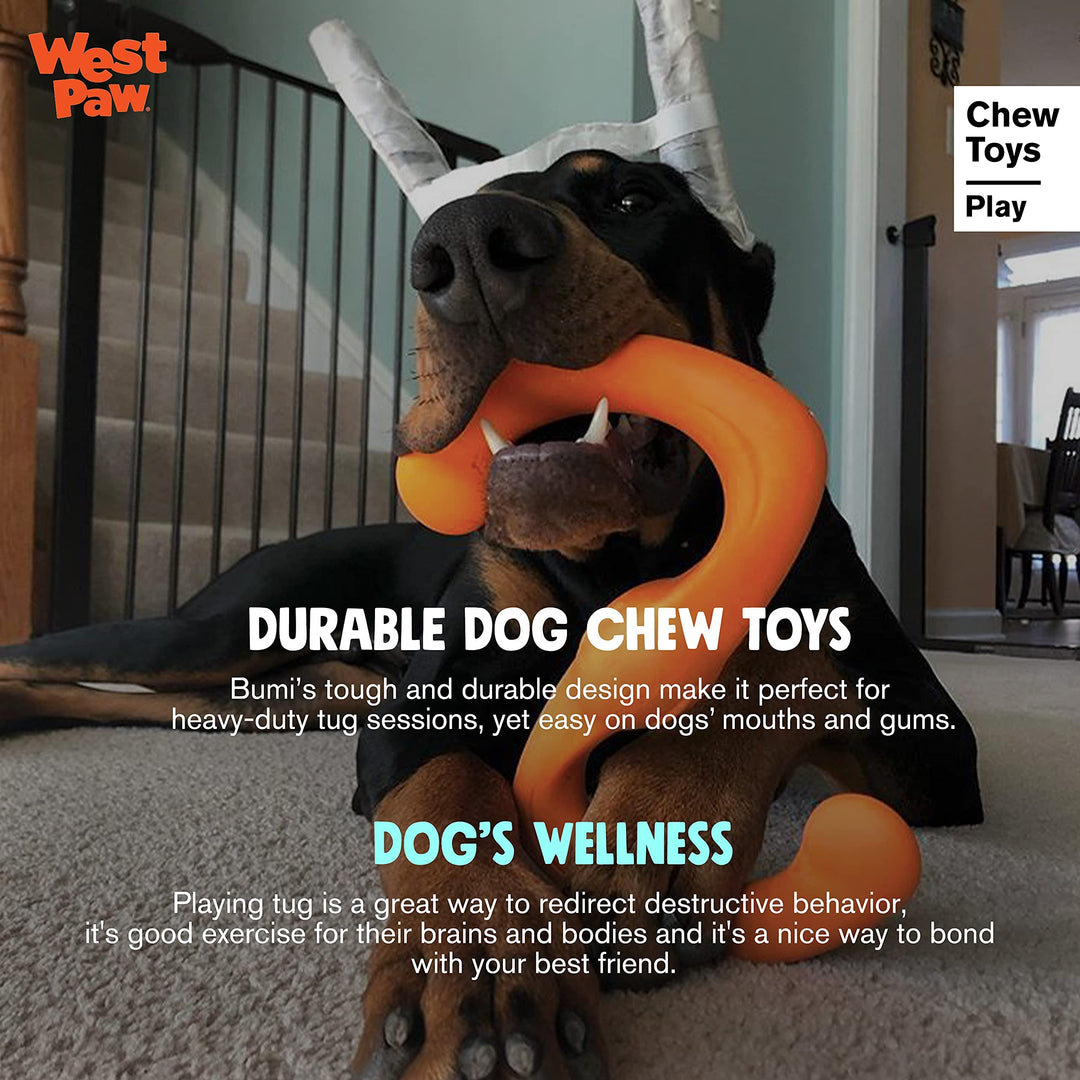Zogoflex West Paw Design Bumi Dog Toy