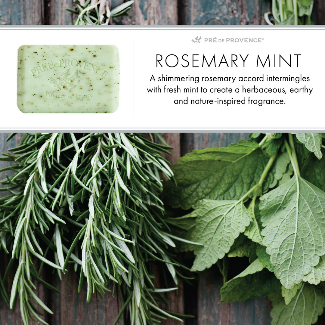 Artisanal Soap Bar, Enriched with Organic Shea Butter, Natural French Skincare, Quad Milled for Rich Smooth Lather, Rosemary Mint, 8.8 Ounce
