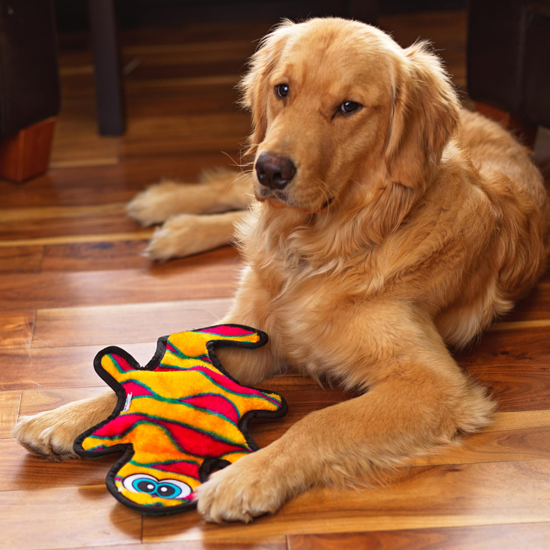 Durablez Tough Plush Squeaky Dog Toy, Gecko, Orange, Medium