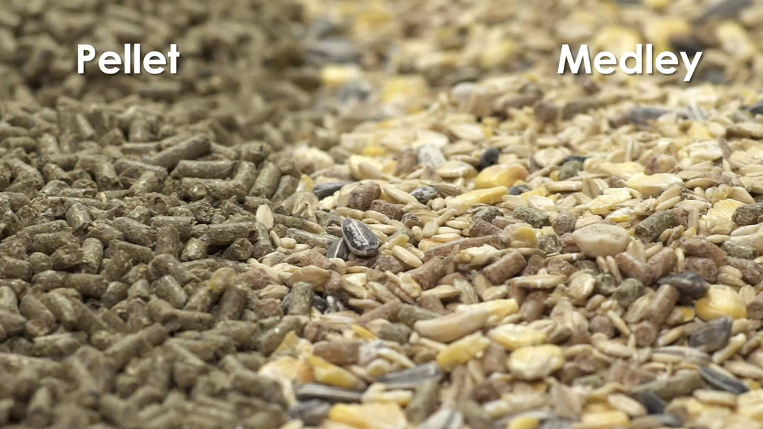 Supreme Pet Mouse and Rat Food, 4 lb