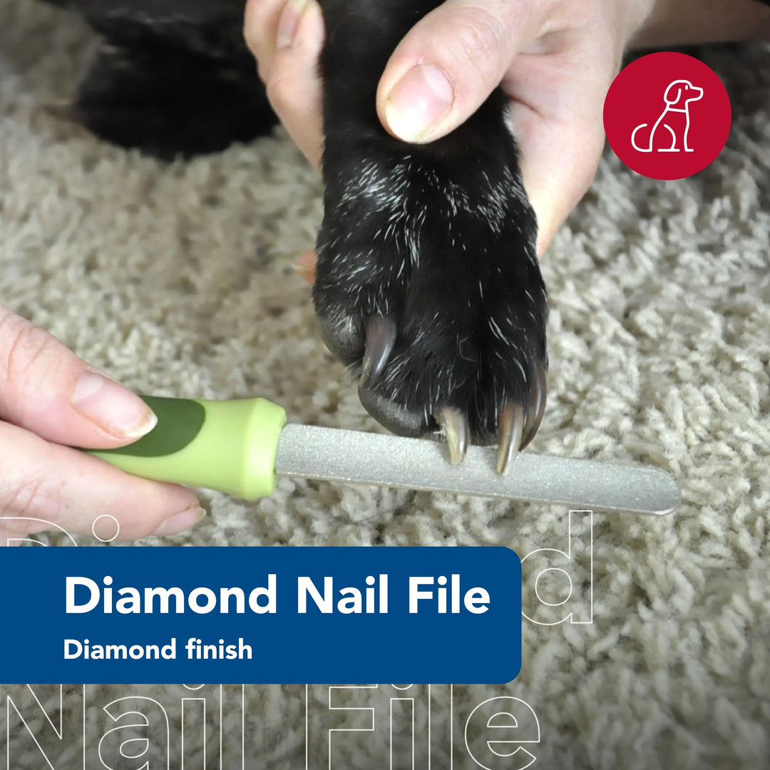 Pet Safari Dog Diamond Nail File - Diamond Finish for Smooth Nails - Removes Burs from Outdoor & Indoor Dogs - One Size