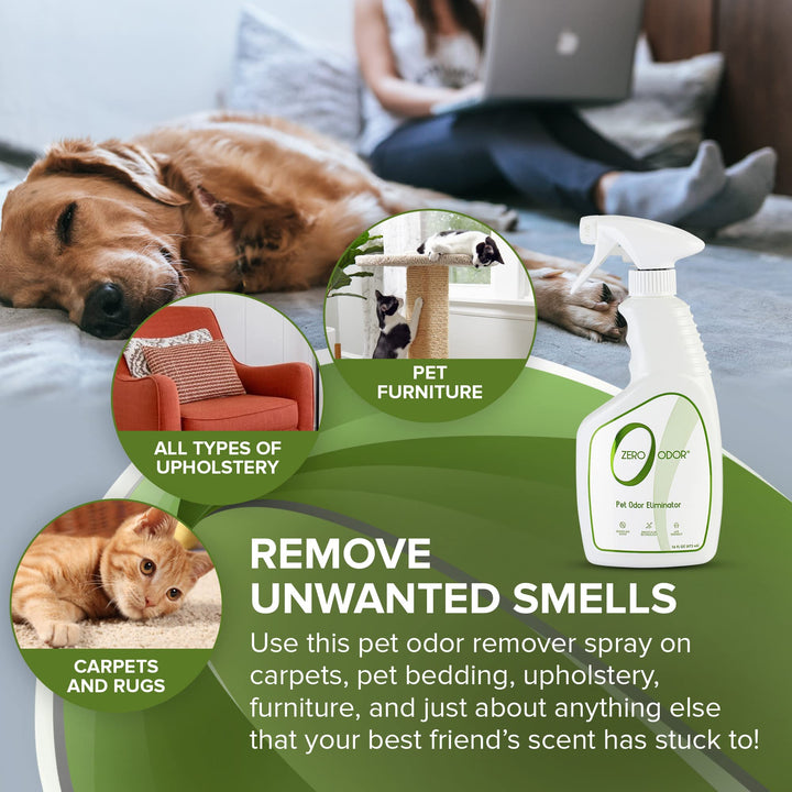 - Pet Odor Eliminator for Strong Odor, Eliminate Air & Surface Odors – Patented Molecular Technology Best For Carpet, Furniture, Beds Smell Great Again (Over 400 Sprays Per Bottle)