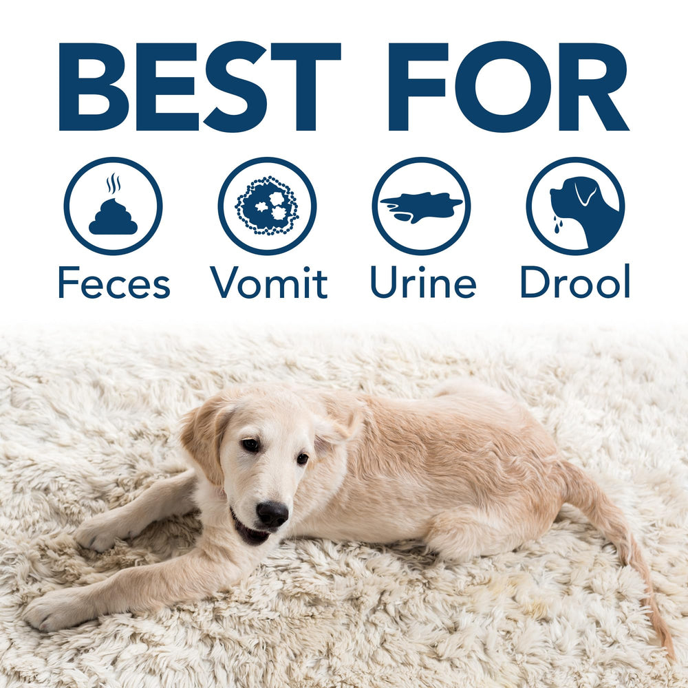 Stain and Odor Eliminator Spray for Dogs & Cats, Enzyme Cleaner With 2X Pro-Bacteria Cleaning Power, Strong Smell Remover for Carpets, Upholstery & Floors, 1 Gallon