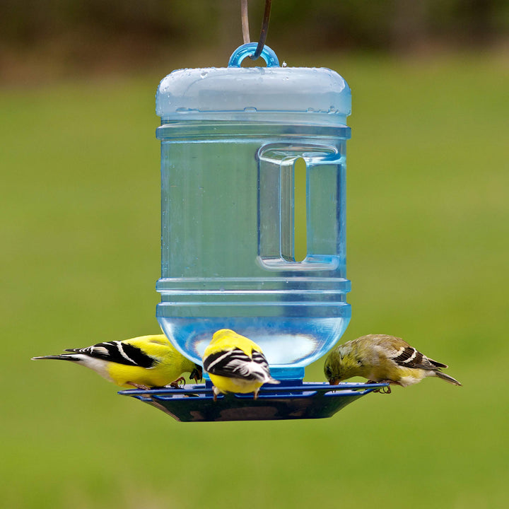 780 Outdoor Hanging Water Cooler Bird Waterer and Dispenser,Blue, 1.5 Qt Capacity