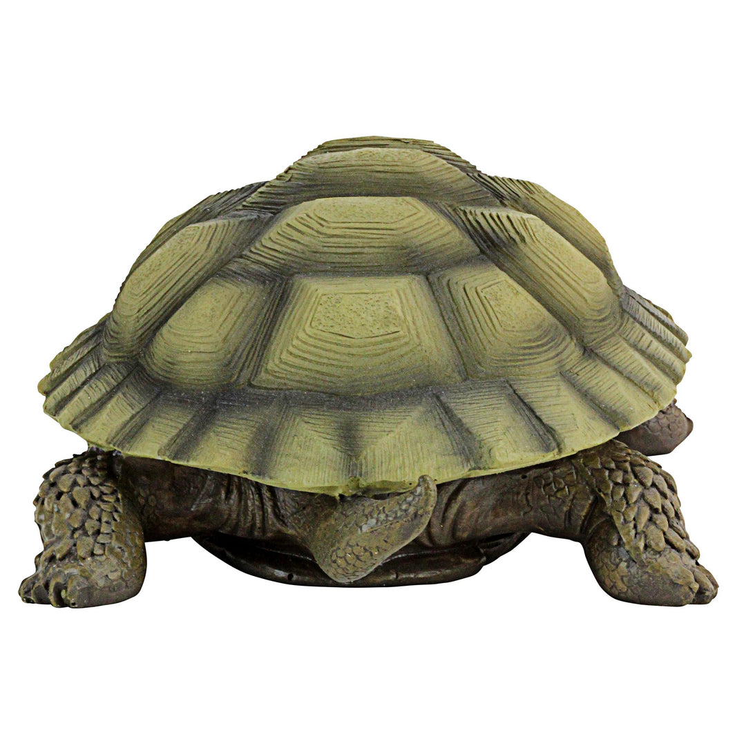 QM1887611 Gilbert the Box Turtle Indoor/Outdoor Garden Decor Animal Statue, Set of One