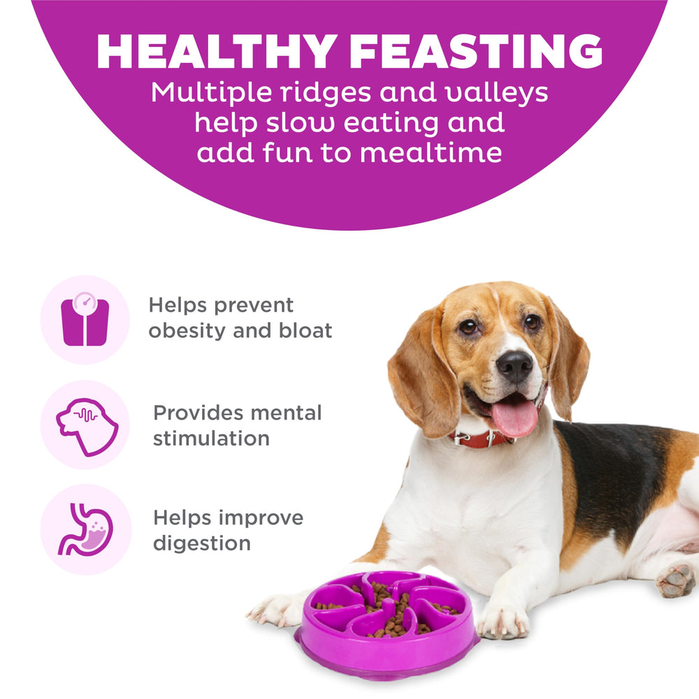 Fun Feeder Slo Bowl, Slow Feeder Dog Bowl, Medium/Mini, Purple