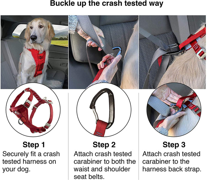 Tru-Fit Enhanced Strength Dog Harness - Certified Crash Tested Car Safety Harness for Dogs - Metal Buckles, Padded Chest - Includes Pet Seatbelt - No Pull Training - Red, Large