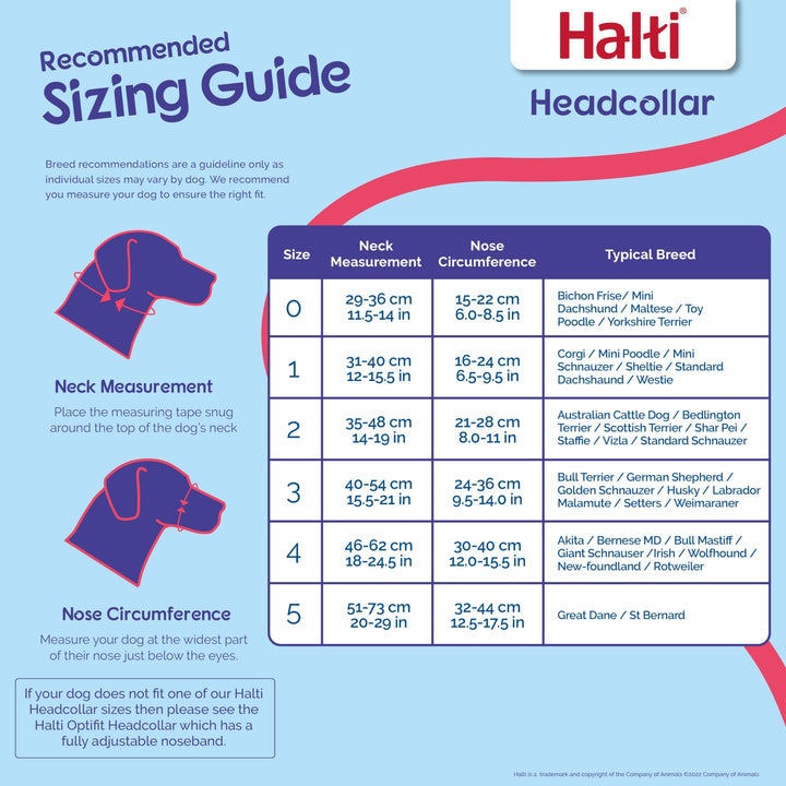 HALTI Headcollar - To Stop Your Dog Pulling on the Leash. Adjustable, Reflective and Lightweight, with Padded Nose Band. Dog Training Anti-Pull Collar for Medium Dogs (Size 2, Black)