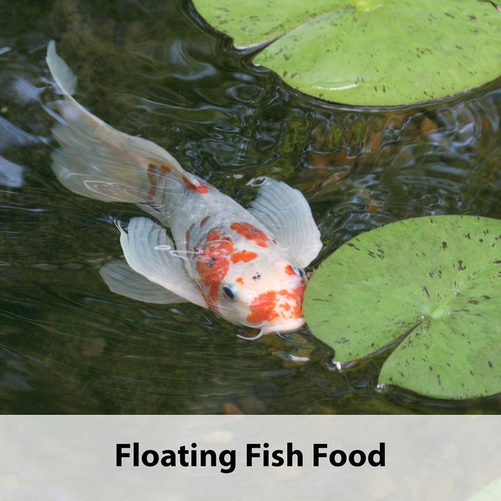 Koi's Choice Koi Floating Fish Food, 10 Pound