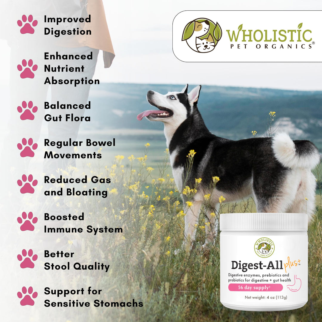 Wholistic Digest-All Plus Probiotics for Dogs with Digestive Enzymes - 4 Oz - Cat Probiotics for Digestive Health - Dog Probiotics for Digestive Health Supplement Powder for Homemade Food