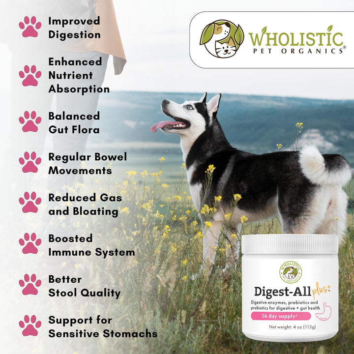 Wholistic Digest-All Plus Probiotics for Dogs with Digestive Enzymes - 4 Oz - Cat Probiotics for Digestive Health - Dog Probiotics for Digestive Health Supplement Powder for Homemade Food