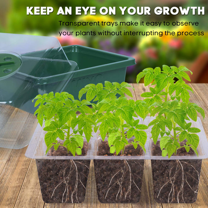 10 Set Seedling Trays Seed Starter Kit, 60 Large Cells Mini Propagator Plant Grow Kit with Humidity Vented Domes and Base for Seeds Starting Greenhouse (6 per Tray)