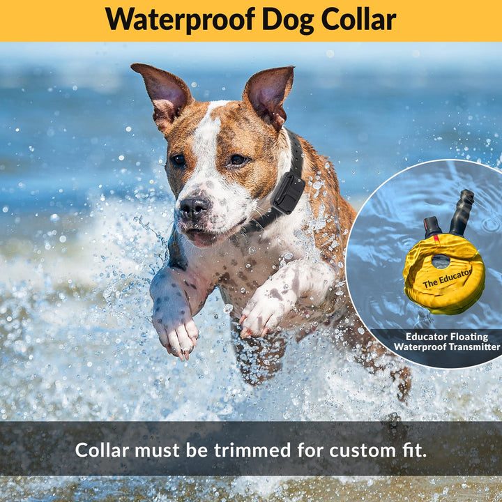 E-Collar Humane Dog Training Collar with Remote, Features 100 Levels of Safe Stimulation, Tapping Sensation, Night Light, Waterproof, Rechargeable, 3/4 Mile 1 Dog, Yellow