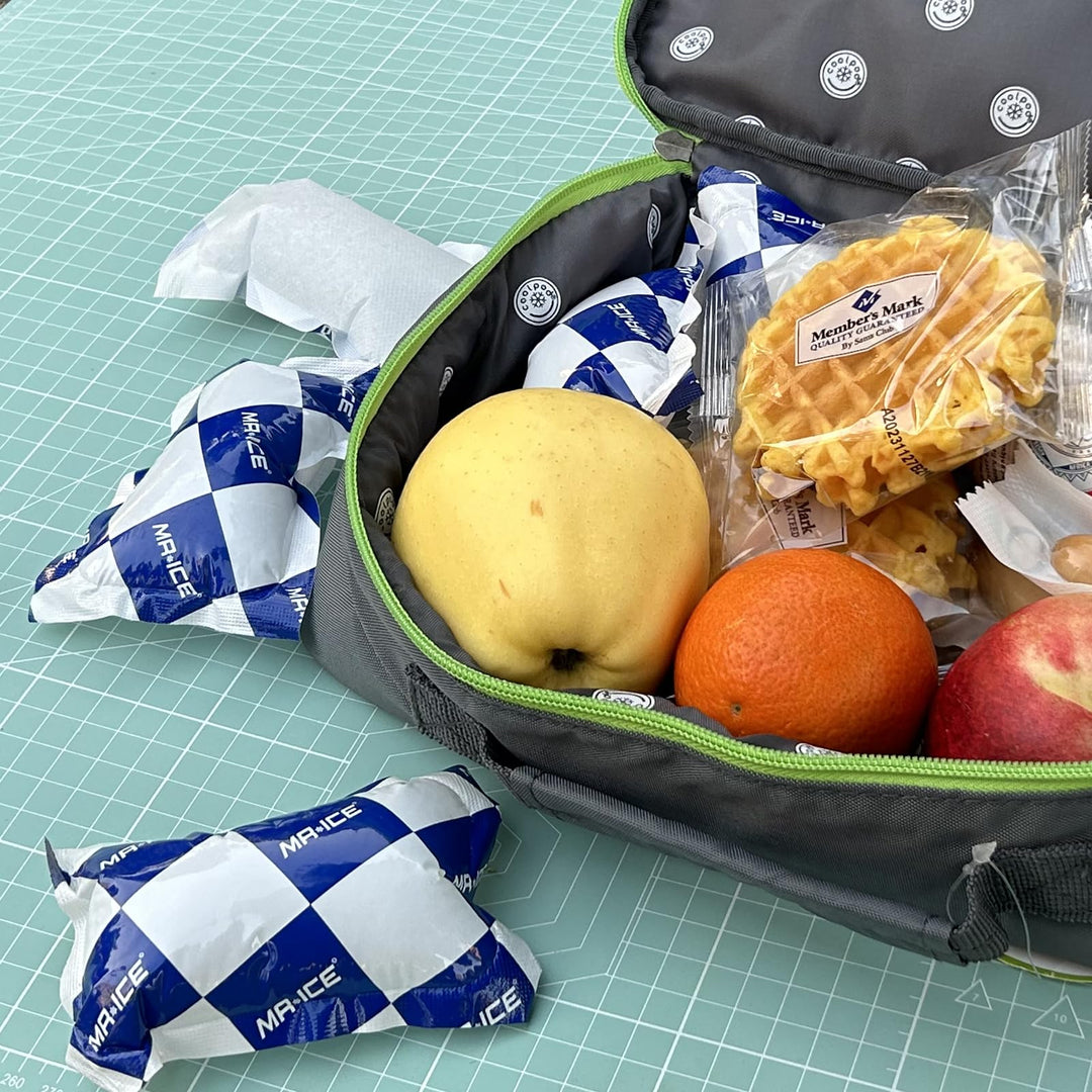 Shipping Ice Packs for Food 25 Sheets - Reusable Freezer Packs Cold Packs for Cooler, Food and Shipping - Re-freezable Absorbent Water Refrigerant Pack - Single Ice Pack, 4.7x3.3